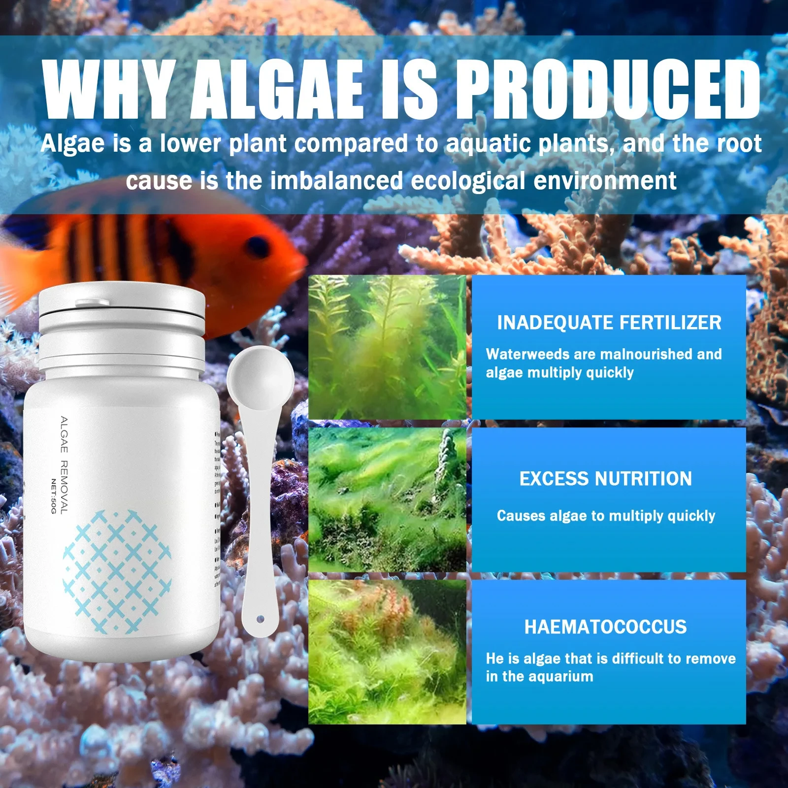 Fish Tank Cleaning Algae Tablets Tank Moss Odor Remover Water Purify Aquarium Algaecide Control Cleaning Algae Repellent Agent - Image 2