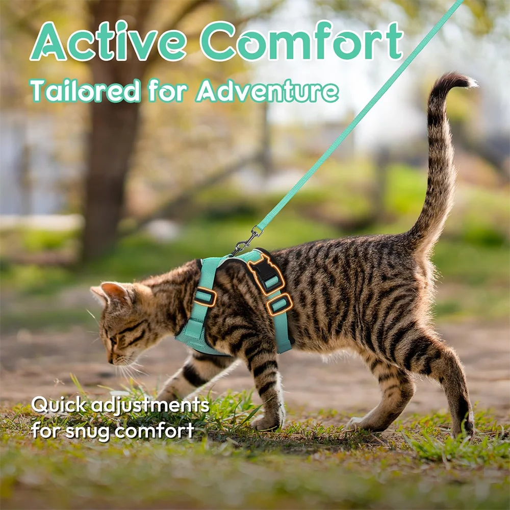 Cat Puppy Outdoor Walking Supplies Fashion Pet Harness and Leash Set for Small Dogs Cats Breathable Durable Kitten Harnesses - Image 5