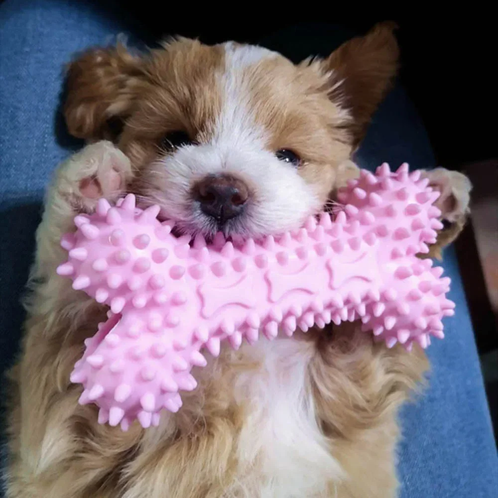 Dog Toys For Small Dogs Indestructible Dog Toy Teeth Cleaning Chew Training Toys Pet Supplies - Image 4