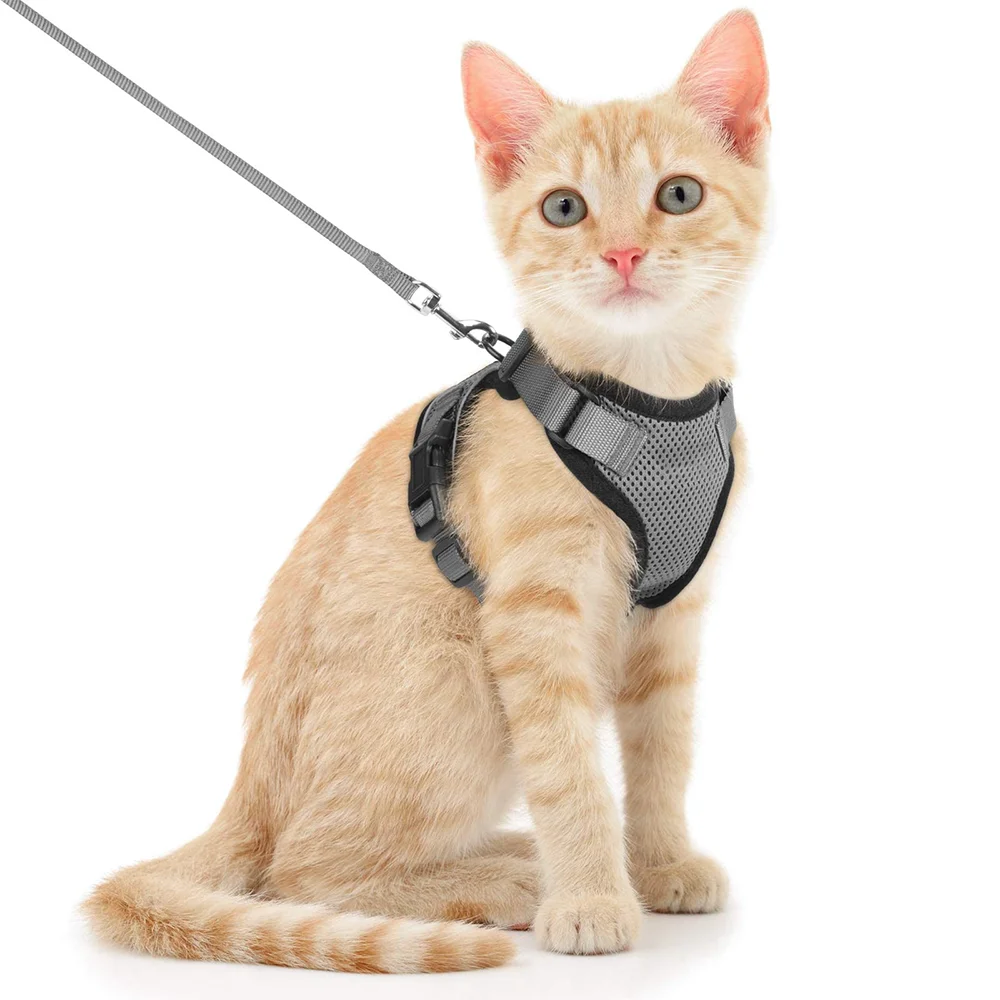 Cat Puppy Outdoor Walking Supplies Fashion Pet Harness and Leash Set for Small Dogs Cats Breathable Durable Kitten Harnesses - Image 8