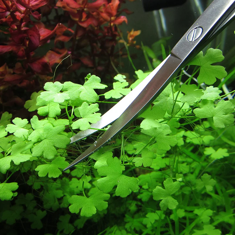 Aquarium Accessories Hard Stainless Steel Aquarium Tool Scissor Tweezers Plants Wave Scissors Fish Tank Shovels Cleaner Supplies - Image 3