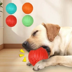 Dog Chew Ball Toy Sounding Bite-resistant Teeth Cleaning Puppy Toy Training Interactive Dog Toy Supplies