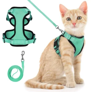 Cat Puppy Outdoor Walking Supplies Fashion Pet Harness and Leash Set for Small Dogs Cats Breathable Durable Kitten Harnesses