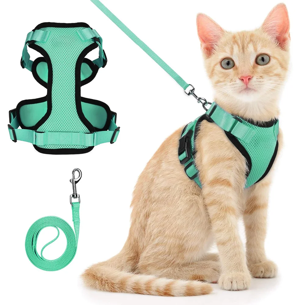 Cat Puppy Outdoor Walking Supplies Fashion Pet Harness and Leash Set for Small Dogs Cats Breathable Durable Kitten Harnesses