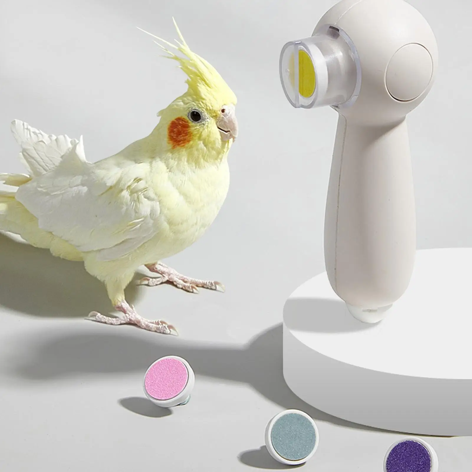 Parrot Nail Trimmer Rechargeable Noiseless Beak Grinder Multipurpose Bird Care Supplies Nail Trimming Tool with 6 Grinding Heads - Image 3
