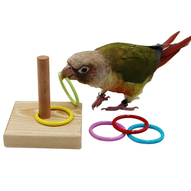 Bird Training Toys Set Wooden Block Puzzle Toys For Parrots Colorful Plastic Rings Intelligence Training Chew Toy Bird Supplies - Image 6