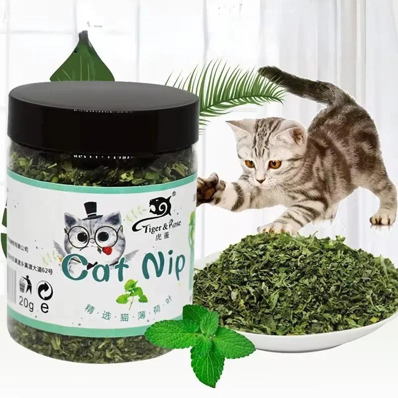 Organic 100% Natural High Quality Catnip Cattle Grass Mint Taste Funny Cat Toy New Cat Toy Interactive Cat Toys Pet Supplies - Image 7