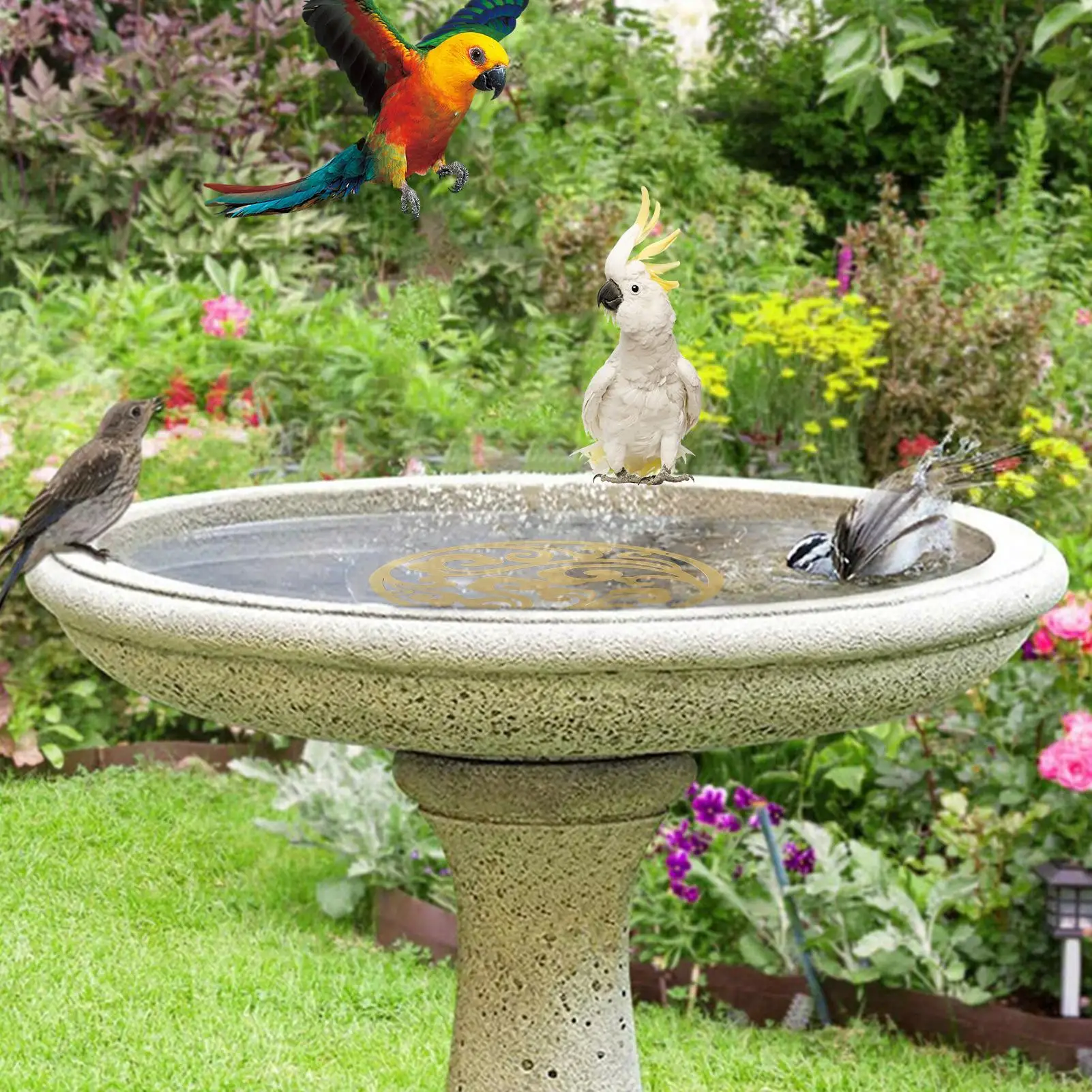 Copper Disc for Bird Bath Copper Safe Fountain Cleaner Garden Supplies Bird Bath Water Purification for outdoor bird bowls - Image 4