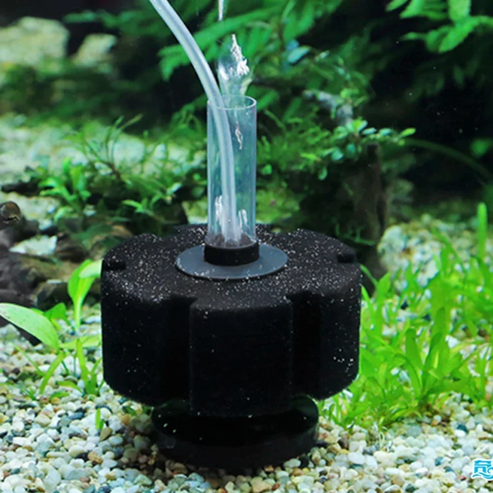 Aquarium Filter Sponge For Fish Tank Air Pump Skimmer Biochemical Sponge Filter Aquarium Bio Filter Filtro Aquario Acessorio - Image 5