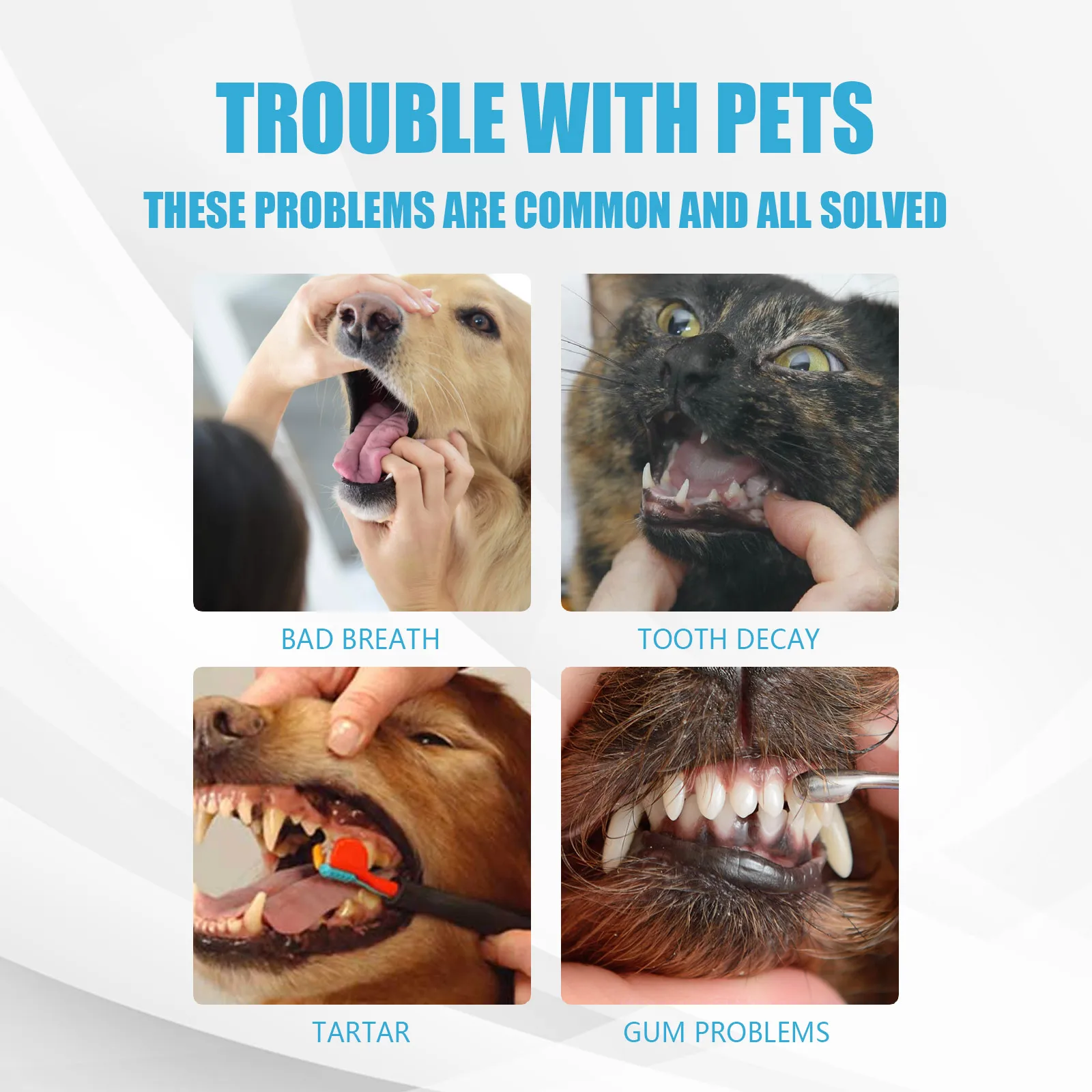 YEGBONG Pet Toothpaste Edible Formula Tartar Control Freshens Breath Gentle Oral Cleaning for Dogs Cats All Breeds Daily Use - Image 2