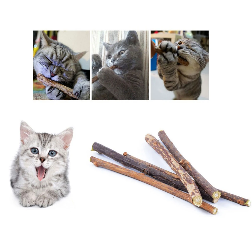 Silvervine Sticks for Cats Natural Catnip Chew Sticks Teeth Molar Chewing Toys for Cat Kitten Kitty Gifts - Image 6