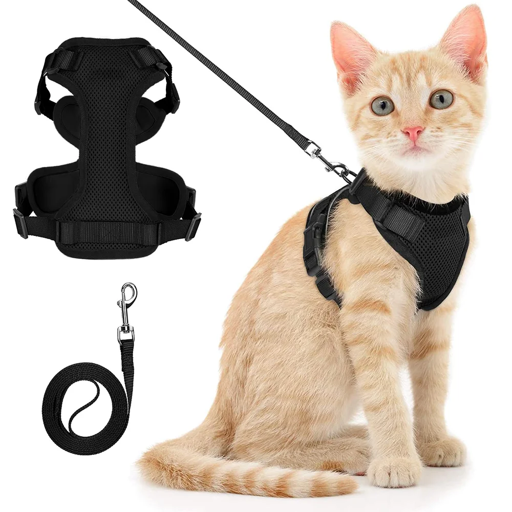 Cat Puppy Outdoor Walking Supplies Fashion Pet Harness and Leash Set for Small Dogs Cats Breathable Durable Kitten Harnesses - Image 7