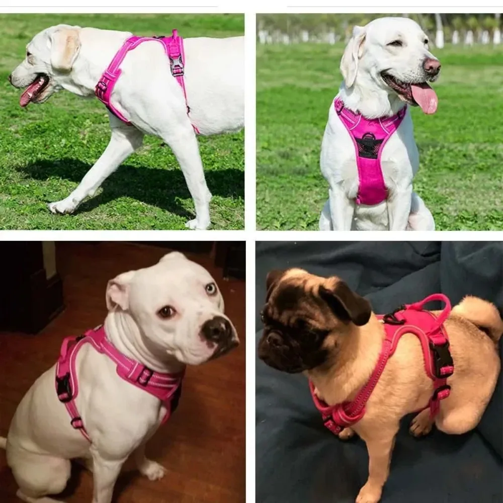 Pet Dog Harness Reflective Adjustable Breathable Vest Chest Strap for Small Medium Large Dogs Cat Puppy Collar Dog Accessoires - Image 4