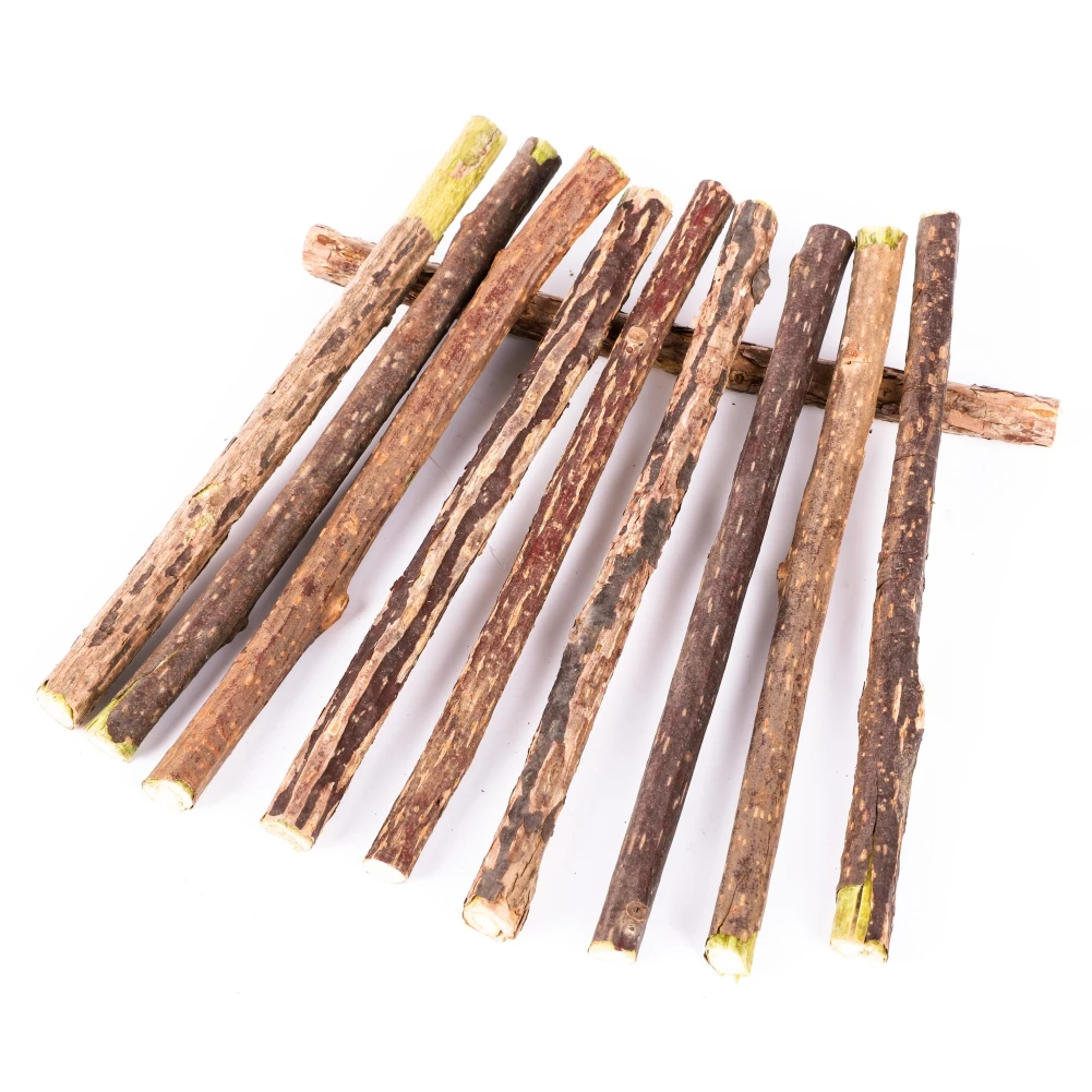 Silvervine Sticks for Cats Natural Catnip Chew Sticks Teeth Molar Chewing Toys for Cat Kitten Kitty Gifts - Image 4