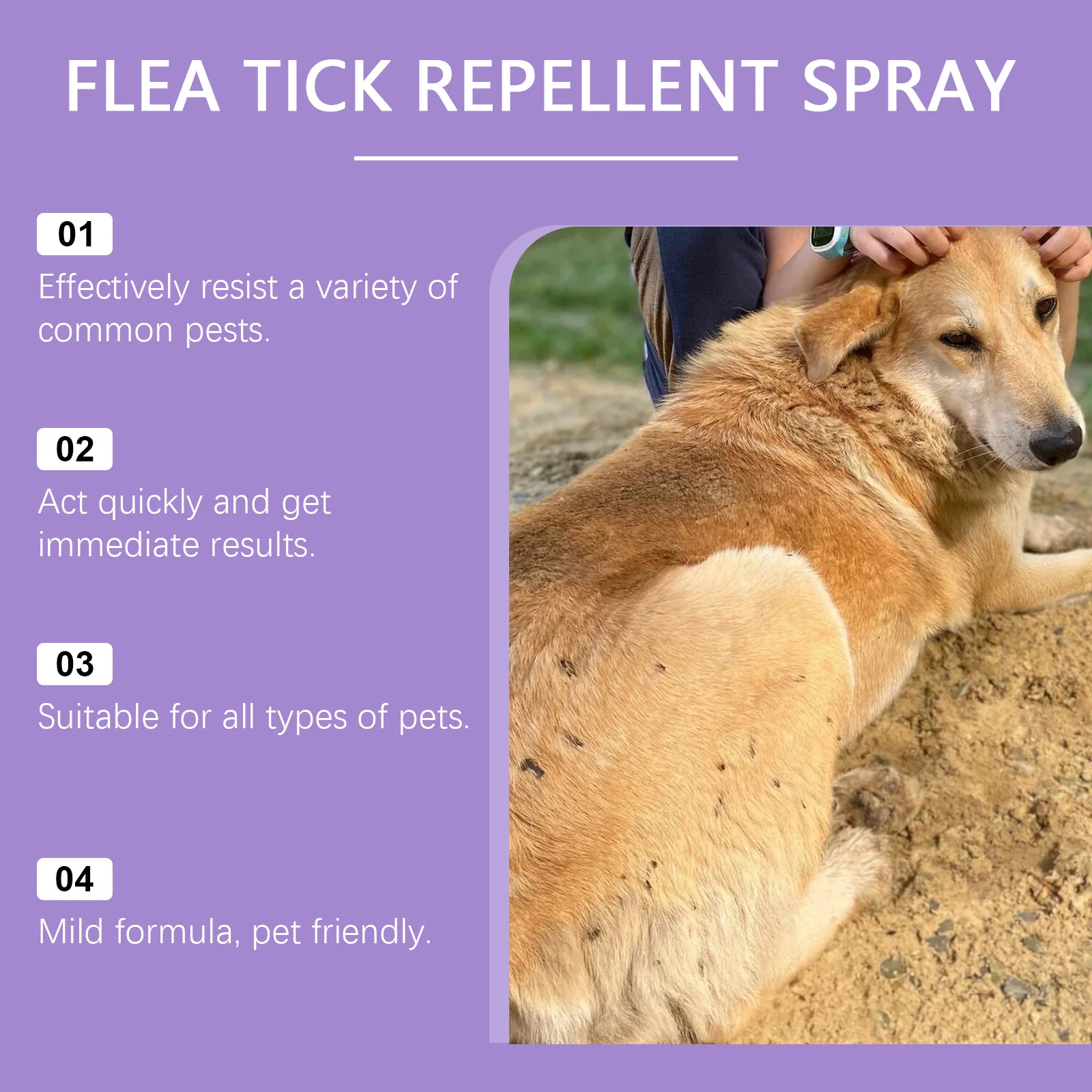 YEGBONG 50ml Flea Tick Prevention Spray for Dogs and Cats Fast Acting Waterproof Outdoor Protection with Natural Essential Oils - Image 3