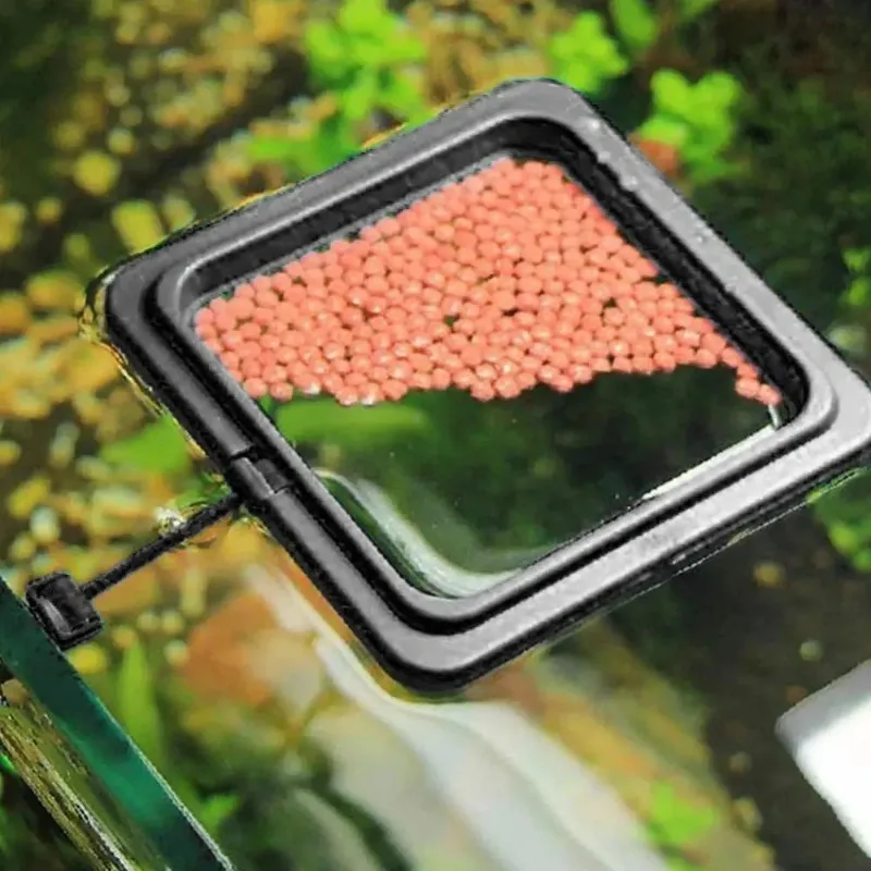 Black Color Aquarium Feeding Ring Fish Tank Floating Food Tray Feeder Square Circle Accessory Fish Food Feeder Suction Cup - Image 5