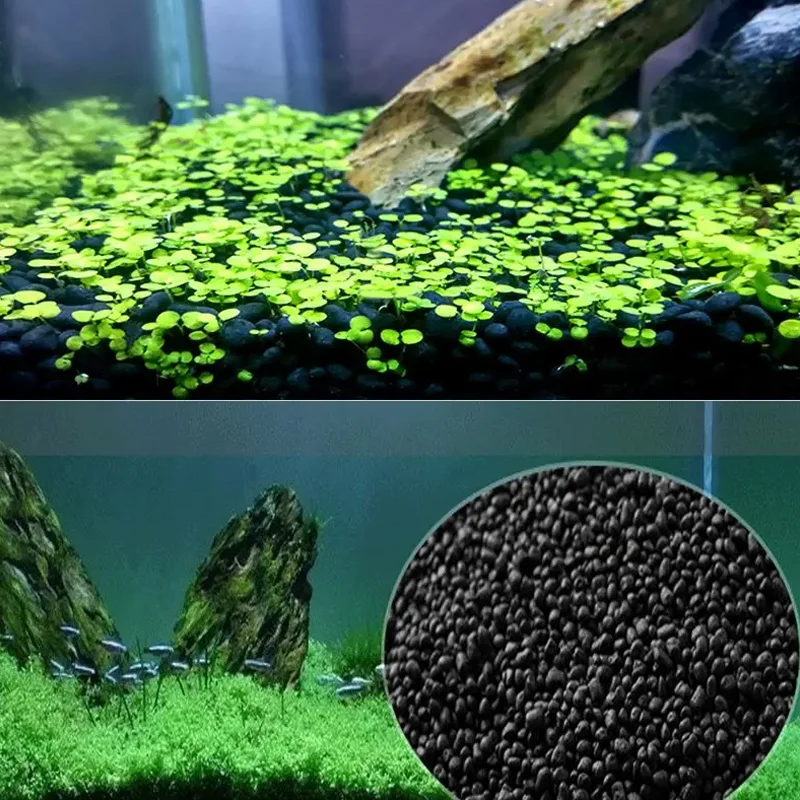 Black Sand Auarium Substrate 100g Fish Tank Bottom Sand for Succulents Pavement Vase Fillers Potted Plants Flower Arrangement