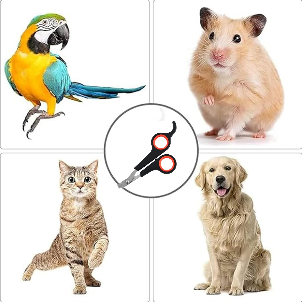 Pet Nail Clipper Scissors Grooming Paw Cutter For Bird Parrot Shear Animal Pet Toe Tool Pet Dog Cat Rabbit hamster Toe Clippers