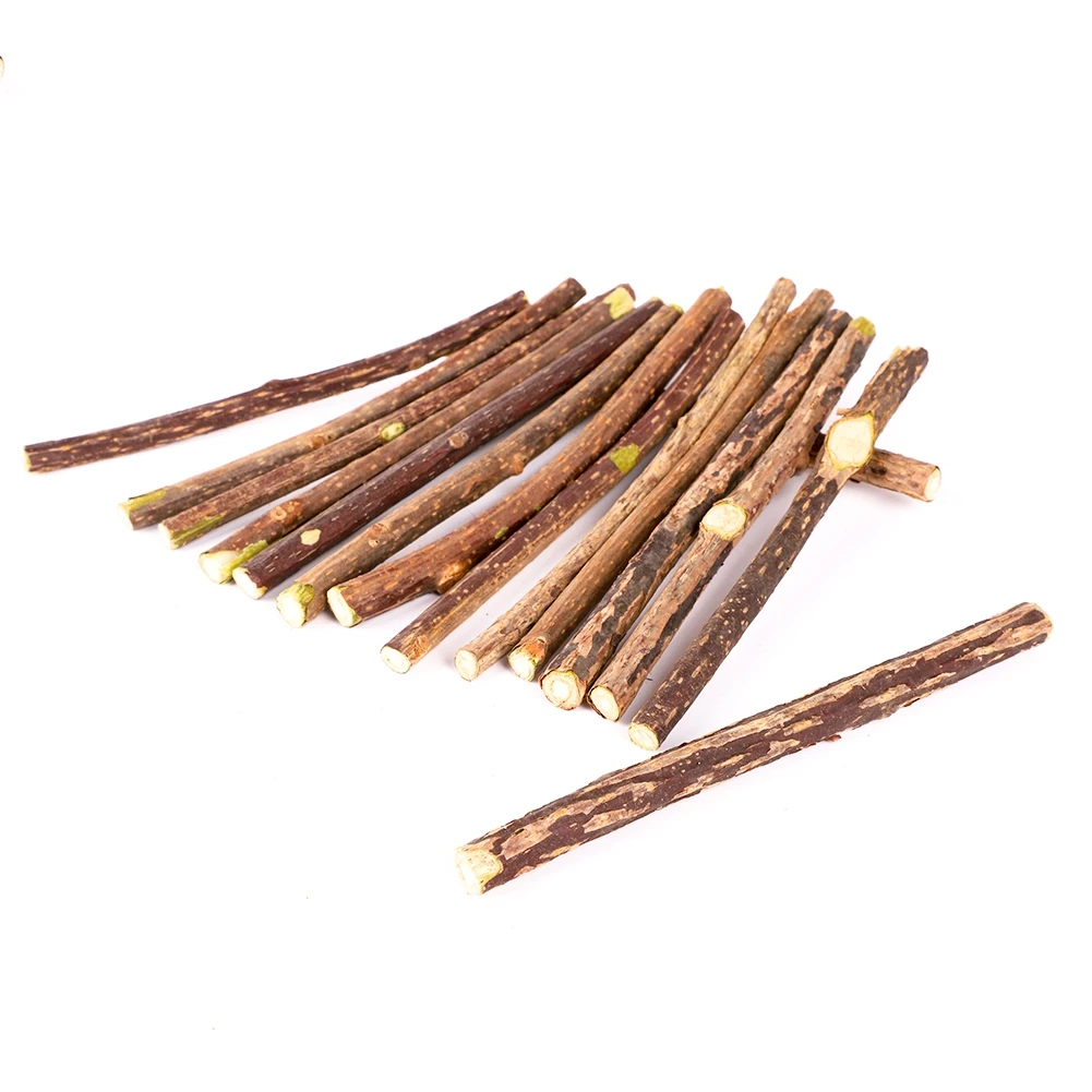 Silvervine Sticks for Cats Natural Catnip Chew Sticks Teeth Molar Chewing Toys for Cat Kitten Kitty Gifts - Image 2