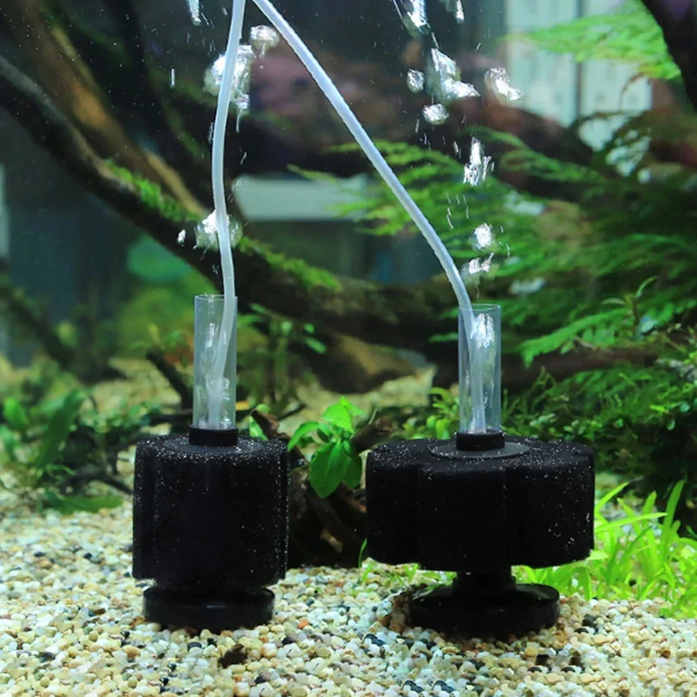 Aquarium Filter Sponge For Fish Tank Air Pump Skimmer Biochemical Sponge Filter Aquarium Bio Filter Filtro Aquario Acessorio - Image 6
