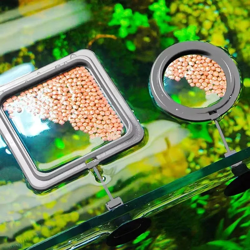Aquarium Feeding Ring Fish Tank Station Floating Food Tray Feeder Square Circle Accessory Fish Foods Feeder Suction Cup Black - Image 2