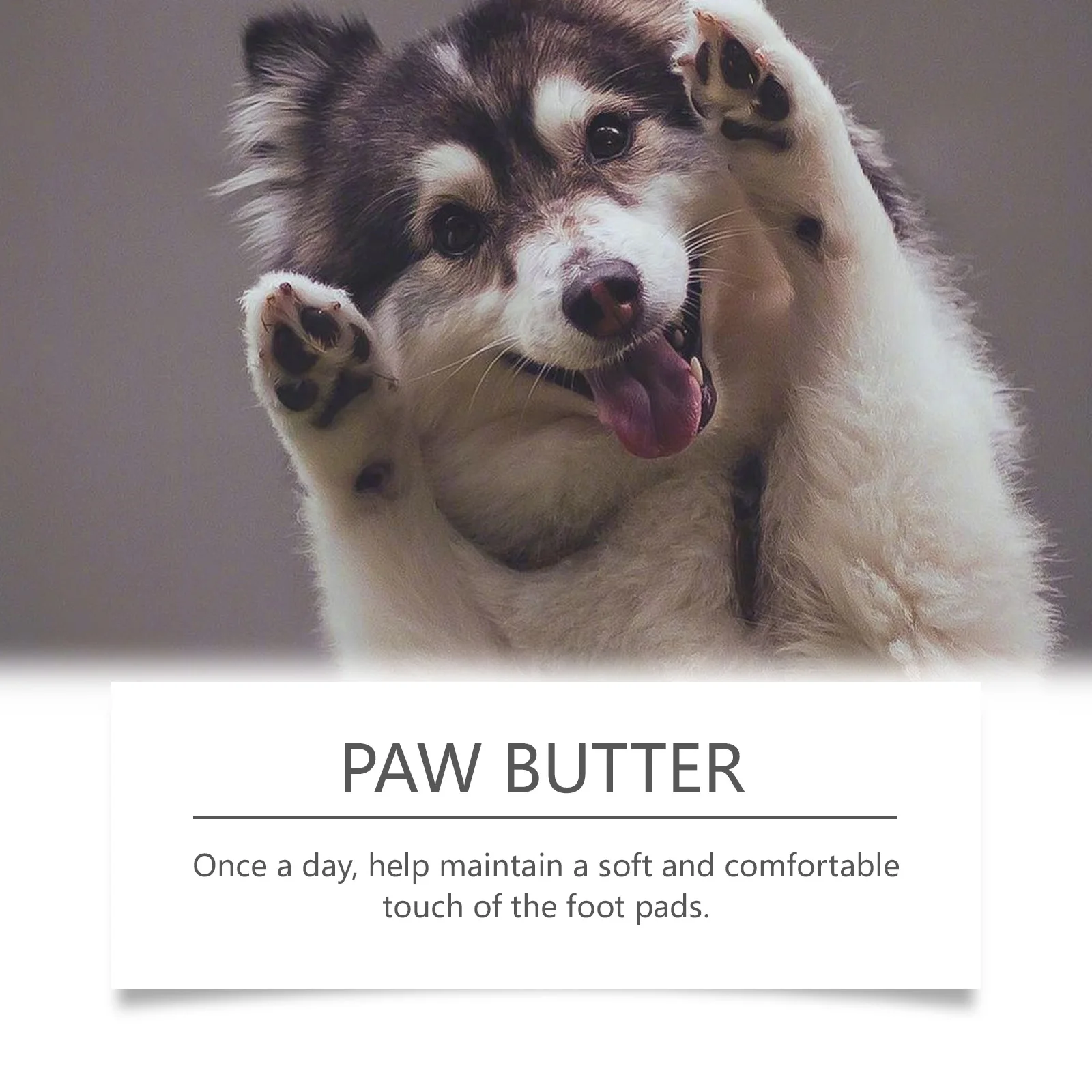 Paw Soothing Balm Dogs and Cats 30g Moisturizing Paw Pad Care Cream with Beeswax Mineral Oil Relieve Dry Cracked Paws Naturally - Image 5