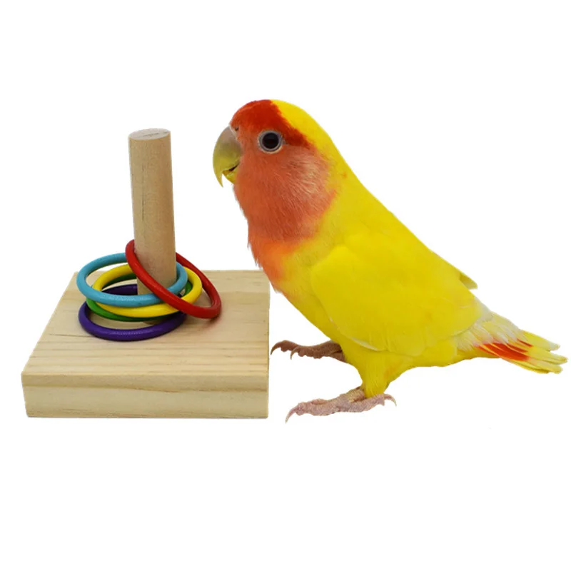 Bird Training Toys Set Wooden Block Puzzle Toys For Parrots Colorful Plastic Rings Intelligence Training Chew Toy Bird Supplies - Image 5