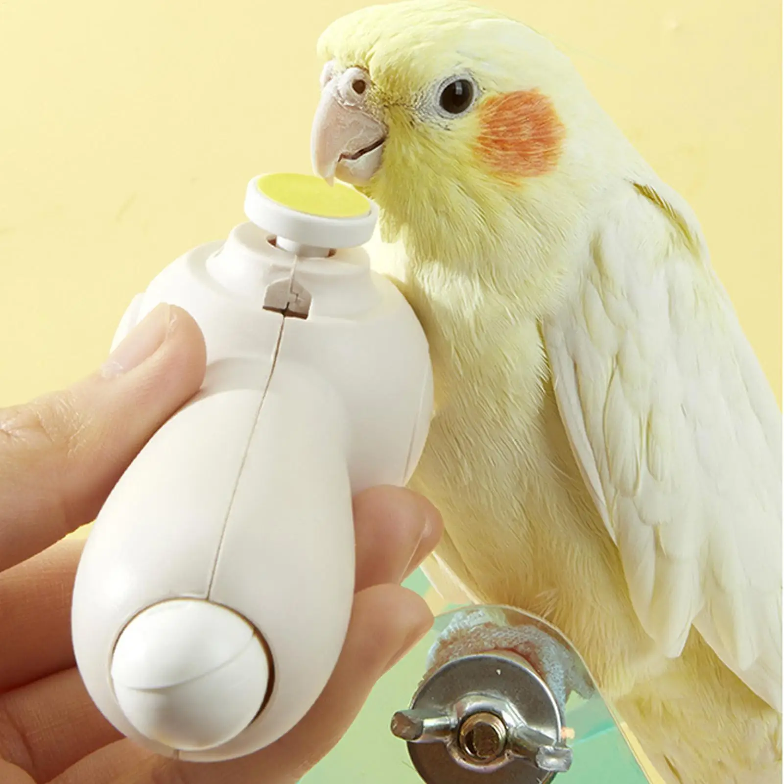 Parrot Nail Trimmer Rechargeable Noiseless Beak Grinder Multipurpose Bird Care Supplies Nail Trimming Tool with 6 Grinding Heads - Image 2