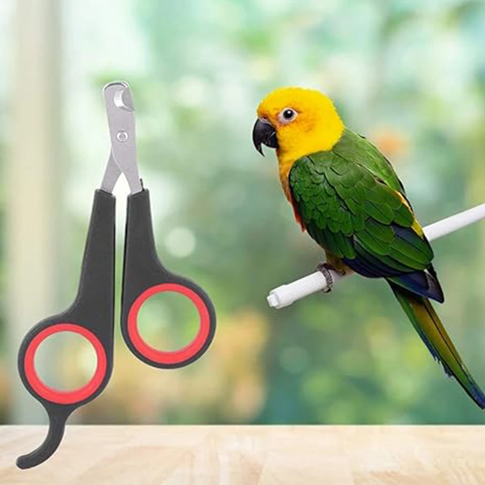 Pet Nail Clipper Scissors Grooming Paw Cutter For Bird Parrot Shear Animal Pet Toe Tool Pet Dog Cat Rabbit hamster Toe Clippers - Image 2