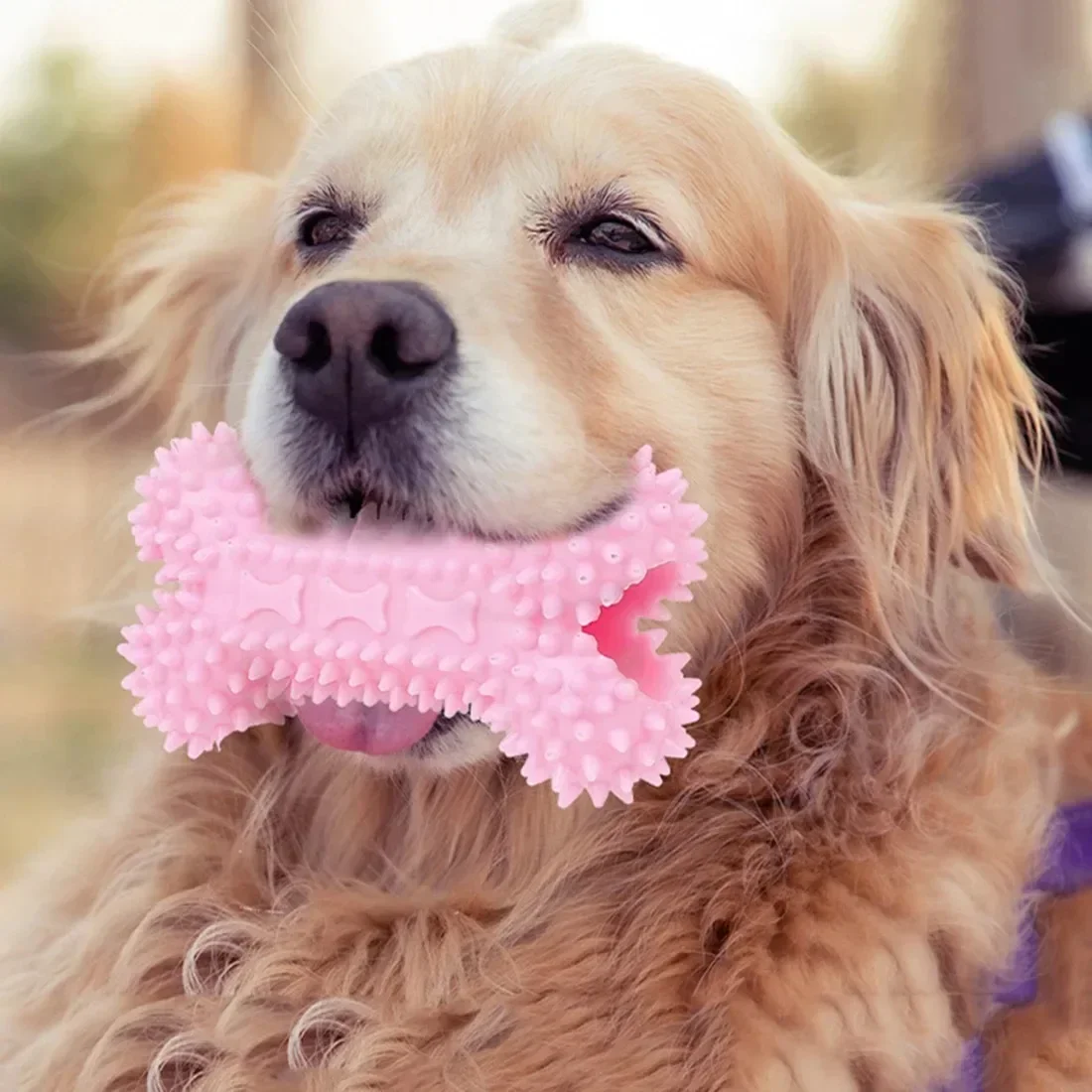 Dog Toys For Small Dogs Indestructible Dog Toy Teeth Cleaning Chew Training Toys Pet Supplies - Image 2