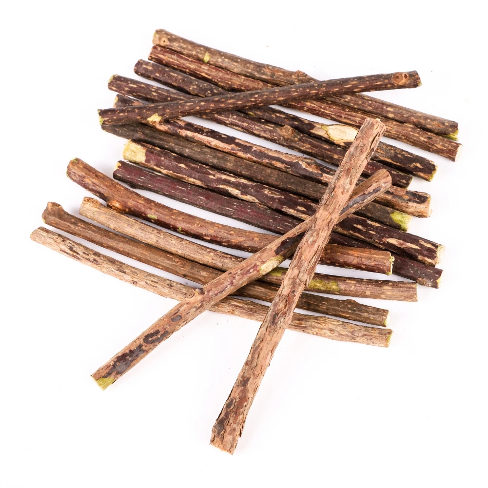 Silvervine Sticks for Cats Natural Catnip Chew Sticks Teeth Molar Chewing Toys for Cat Kitten Kitty Gifts - Image 3